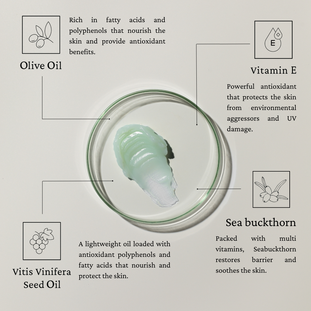 Cleansing Balm swatch with main ingredients highlighted. Main Ingredients: Olive Oil, Vitamin E, Vitis Vinifera Seed Oil, Sea Buckthorn